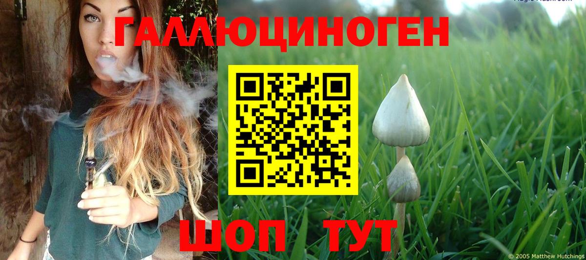 Каменск-Уральский  где купить наркоту  Вход с VPN  Псилоцибиновые грибы мухоморы 